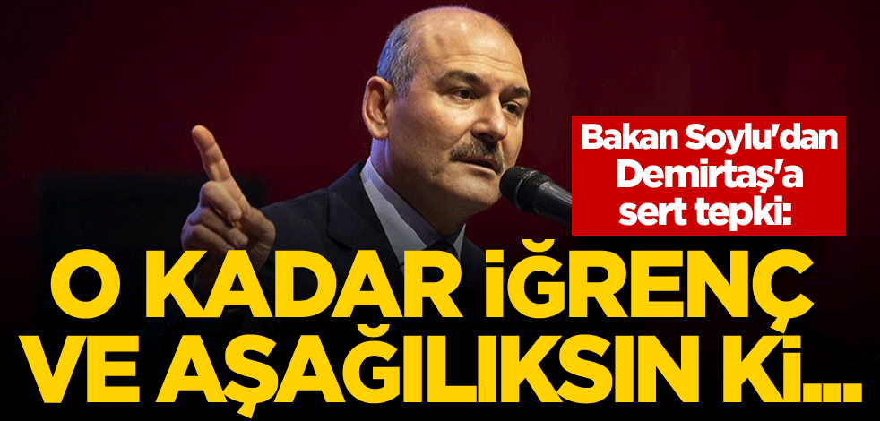 Bakan Soylu'dan Demirtaş'a sert tepki: O kadar iğrenç ve aşağılıksın ki...