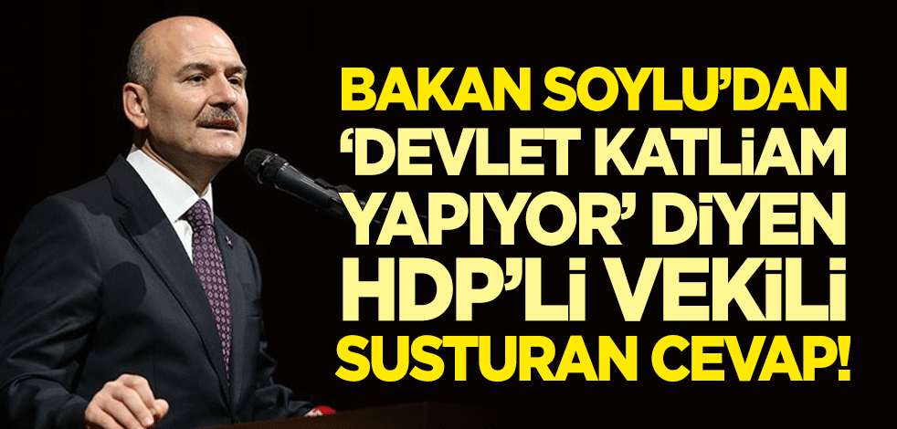 Bakan Soylu'dan 'devlet katliam yapıyor' diyen HDP'li vekili susturan cevap!