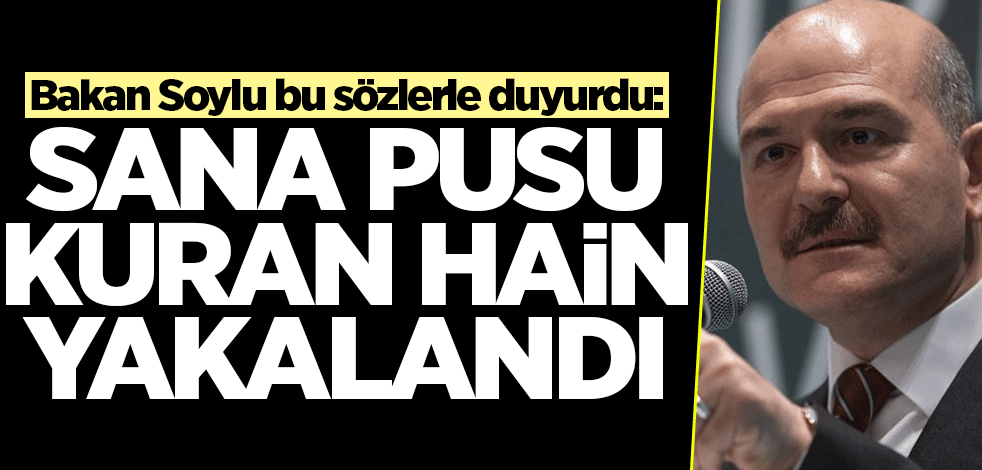 Bakan Soylu'dan dikkat çeken paylaşım: Sana pusu kuran hain yakalandı