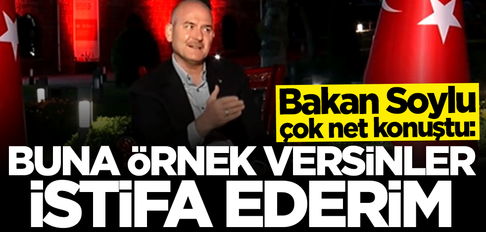 Bakan Soylu'dan flaş açıklama: Buna örnek versinler istifa ederim