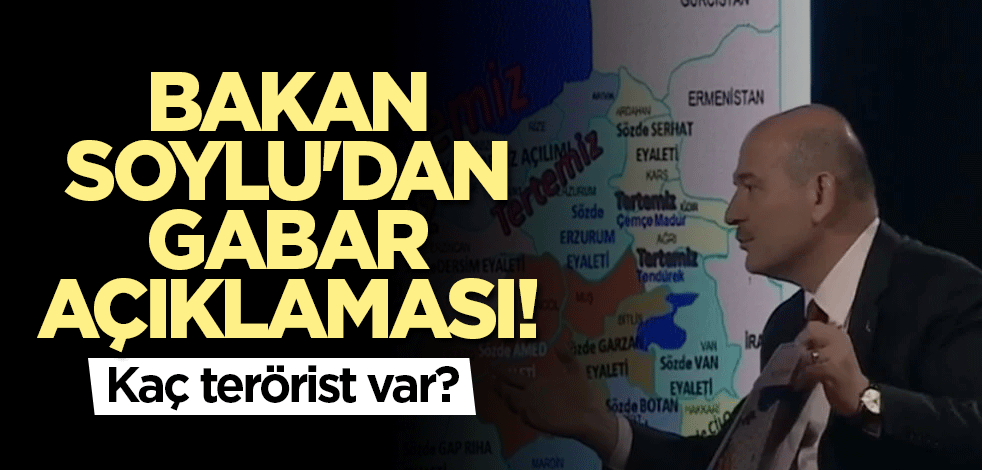 Bakan Soylu'dan Gabar açıklaması! Kaç terörist var?