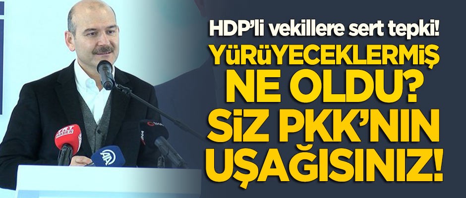 Bakan Soylu'dan HDP'li vekillere sert sözler: Yürüyeceklermiş, ne oldu?