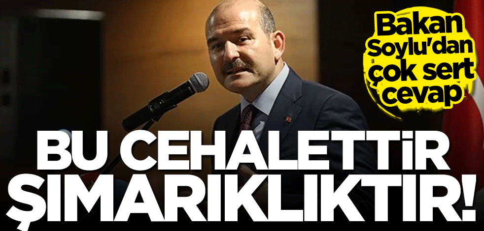 Bakan Soylu'dan İmamoğlu'na sert cevap: Bu cehalettir ve şımarıklıktır