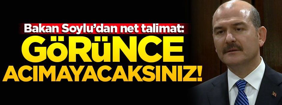 Bakan Soylu'dan net mesaj: Görünce acımayacaksınız!