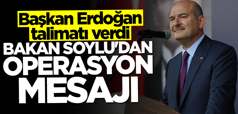 Bakan Soylu'dan operasyon açıklaması