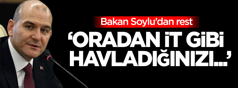 Bakan Soylu'dan rest: Oradan it gibi havladığınızı...