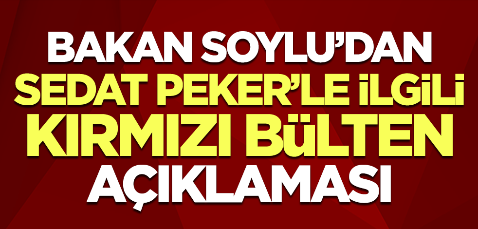 Bakan Soylu'dan Sedat Peker'le ilgili 'kırmızı bülten' açıklaması