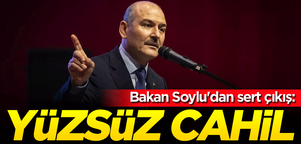 Bakan Soylu'dan sert çıkış: Yüzsüz cahil
