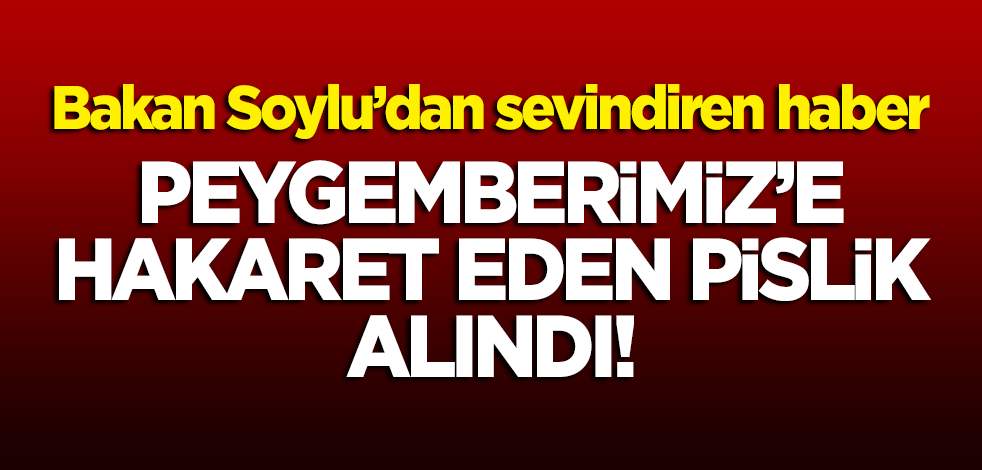 Bakan Soylu'dan sevindiren haber: Peygamberimiz'e hakaret eden pislik alındı!