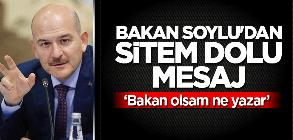 Bakan Soylu'dan sitem dolu mesaj