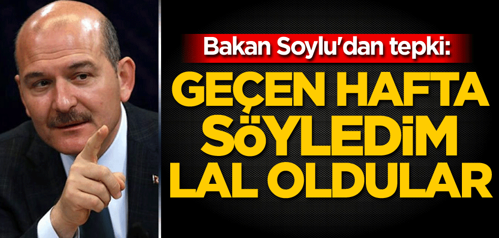 Bakan Soylu'dan tepki: Geçen hafta söyledim, lal oldular