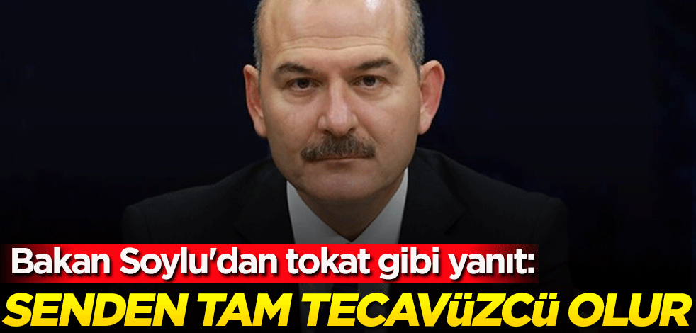 Bakan Soylu'dan tokat gibi yanıt: Senden tam tecavüzcü olur