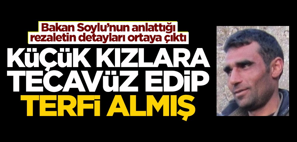 Bakan Soylu'nun açıkladığı skandalın detayları ortaya çıktı! Tecavüz edip terfi almış