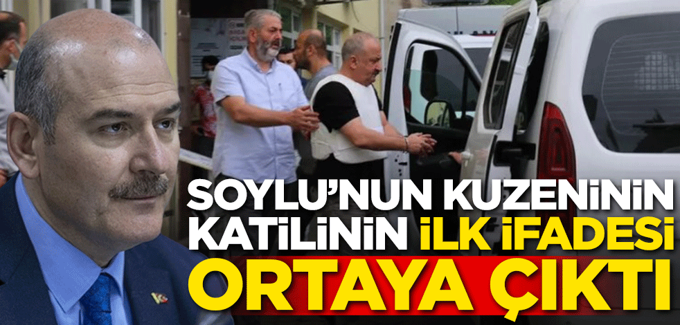 Bakan Soylu'nun kuzeninin katilinin ilk ifadesi ortaya çıktı