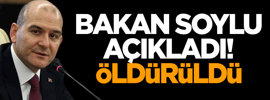 Bakan Süleyman Soylu açıkladı: Öldürüldü