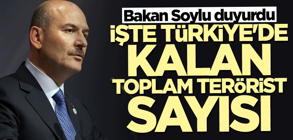 Bakan Süleyman Soylu duyurdu! İşte Türkiye'de kalan toplam terörist sayısı