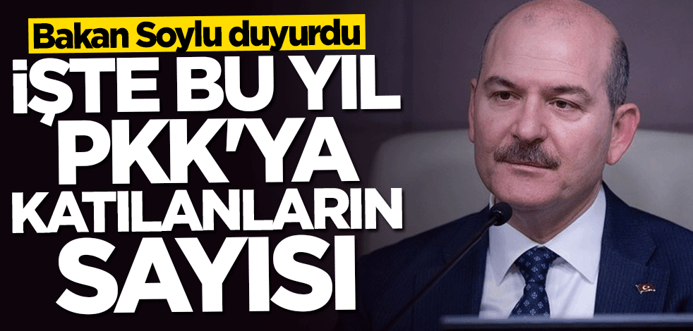 Bakan Süleyman Soylu duyurdu: Terör örgütü PKK'ya katılım 5 binden 39'a indi