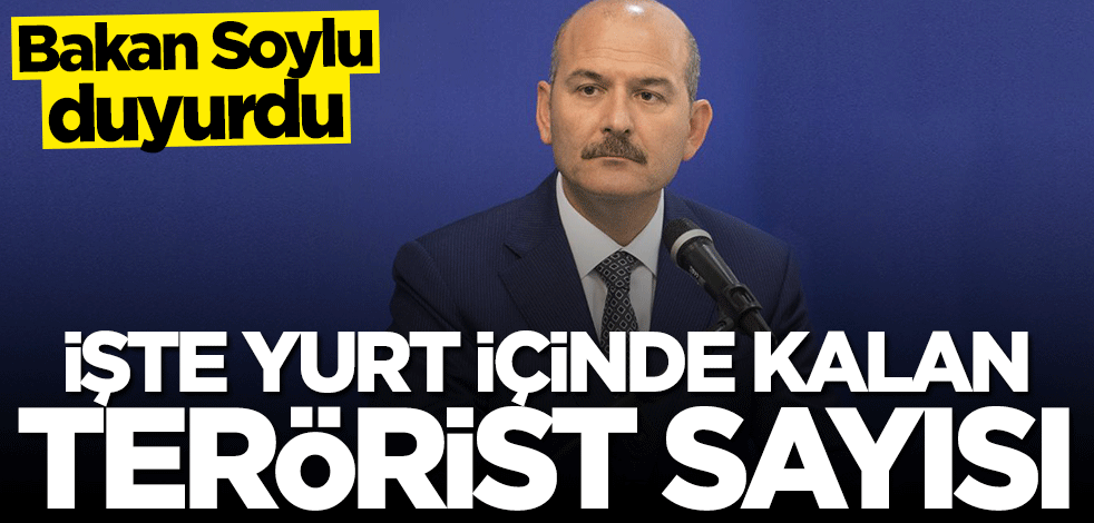 Bakan Süleyman Soylu yurt içinde kalan terörist sayısını açıkladı