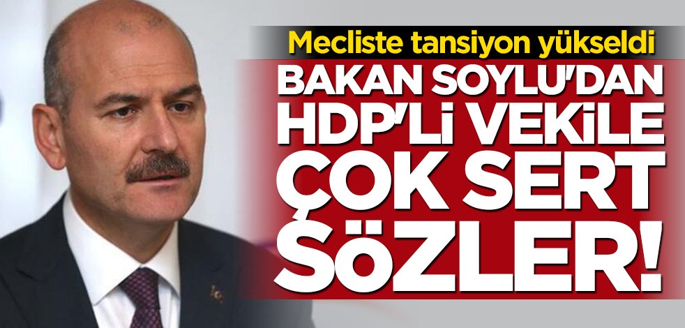 Bakan Süleyman Soylu'dan HDP'li vekile sert sözler