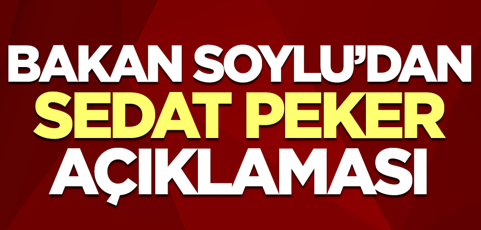 Bakan Süleyman Soylu'dan Sedat Peker açıklaması