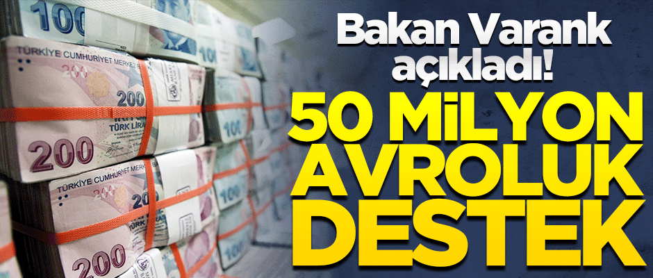Bakan Varank açıkladı! KOBİ'lere 50 milyon avroluk destek