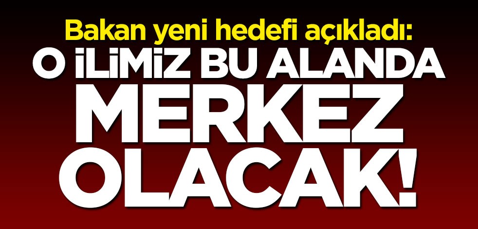 Bakan Varank duyurdu: O ilimiz merkez olacak
