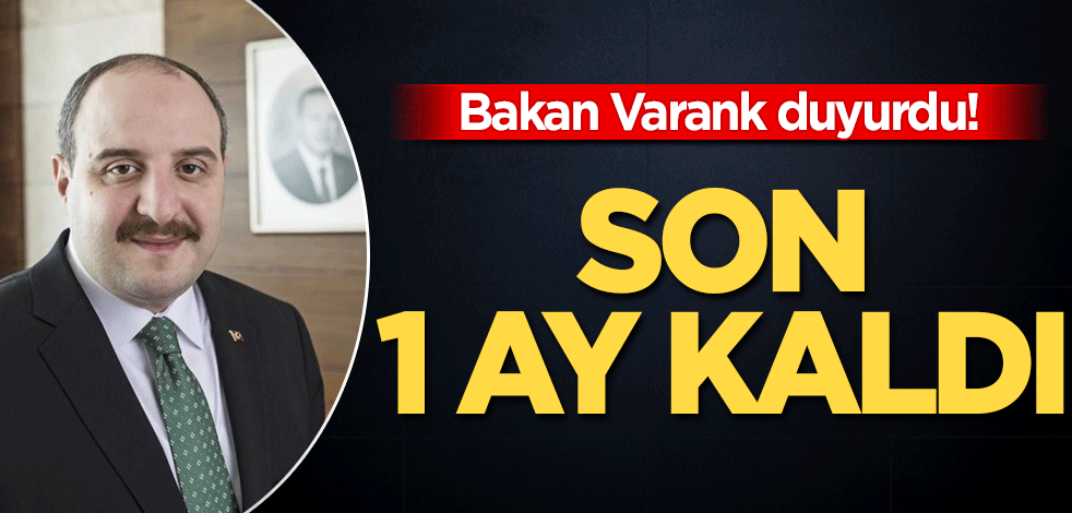 Bakan Varank duyurdu! Son 1 ay kaldı