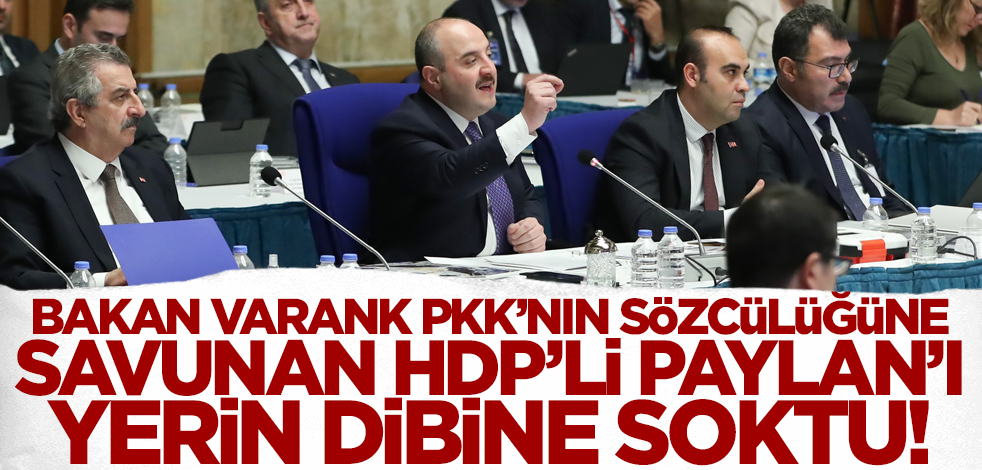 Bakan Varank HDP'li Garo Paylan'ı yerin dibine soktu!
