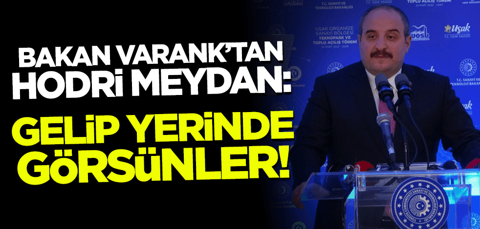 Bakan Varank'tan hodri meydan: Gelip yerinde görsünler!