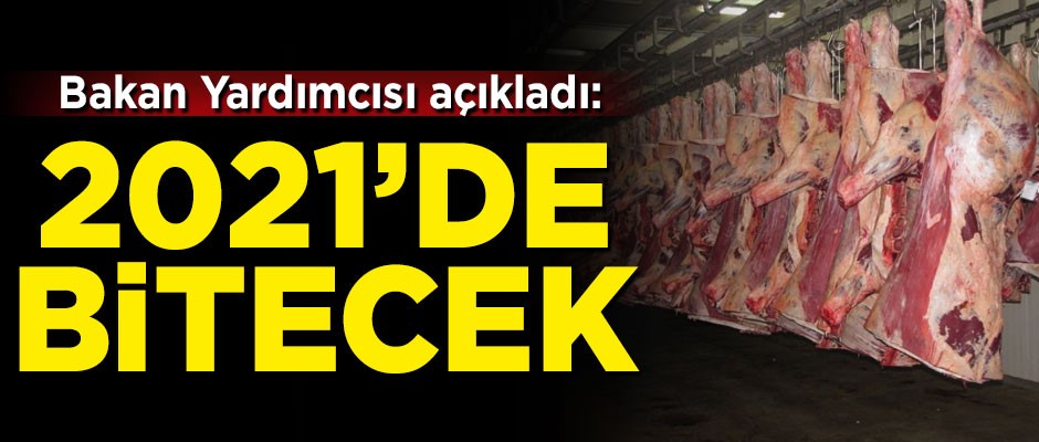 Bakan Yardımcısı açıkladı: Et ithalatı bitecek