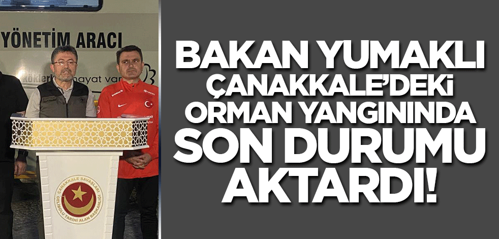 Bakan Yumaklı Çanakkale'deki son durumu aktardı! İlk müdahale 6 dakika sonra yapıldı