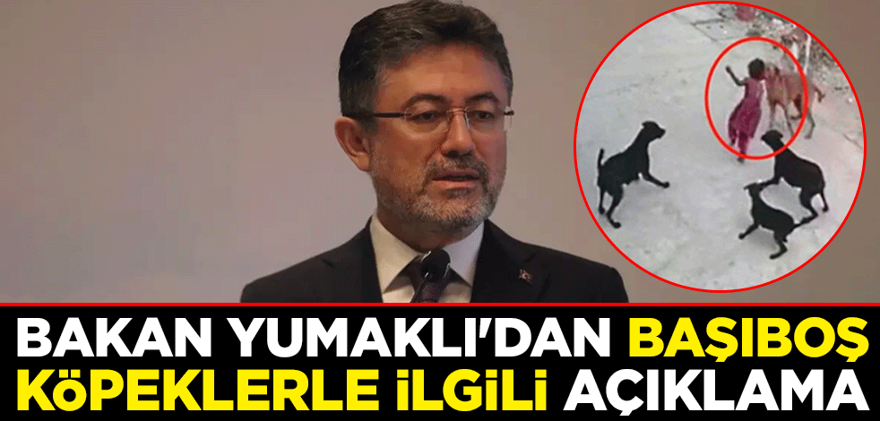 Bakan Yumaklı'dan başıboş köpeklerle ilgili açıklama