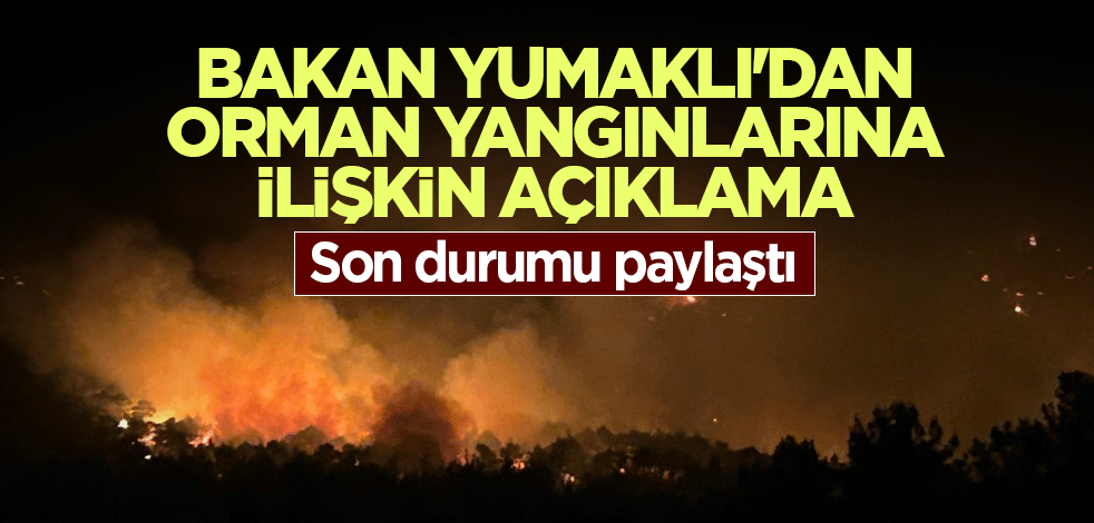 Bakan Yumaklı'dan orman yangınlarına ilişkin açıklama