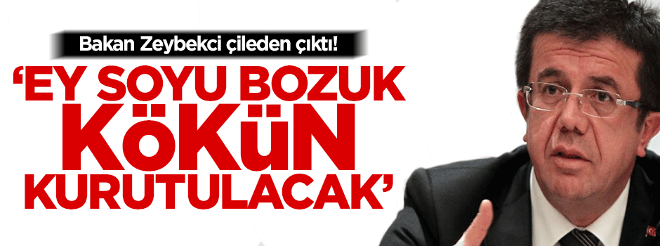 Bakan Zeybekci: Ey soyu bozuk! Tarihe bak...