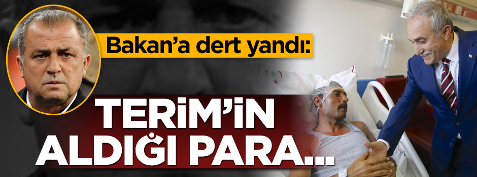 Bakan'a dert yandı: Terim'in aldığı paranın 10'da 1'i...