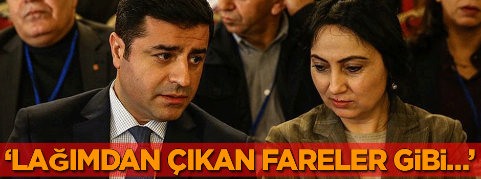 Bakan'dan çok sert sözler: Lağımdan çıkan fareler gibi…