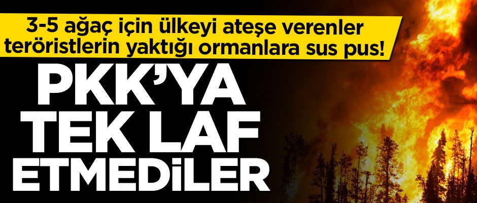 Bakan'dan çok sert tepki: PKK'ya laf söylemelerini beklerdik