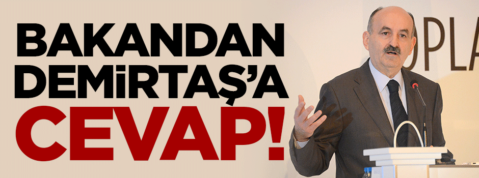 Bakandan Demirtaş'a cevap!