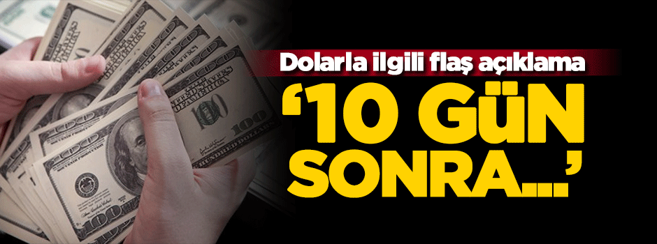 Bakan'dan dolar çıkışı: 10 gün içinde rahatlayacağız