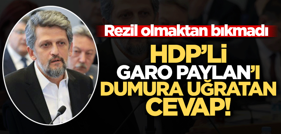 Bakan'dan HDP'li Garo Paylan'ı dumura uğratan cevap!