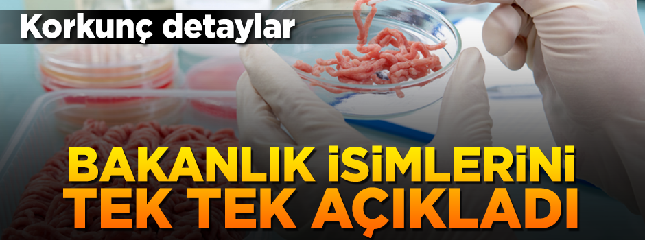Bakanlık 173 firmaya ait 282 parti hileli ürünü açıkladı!
