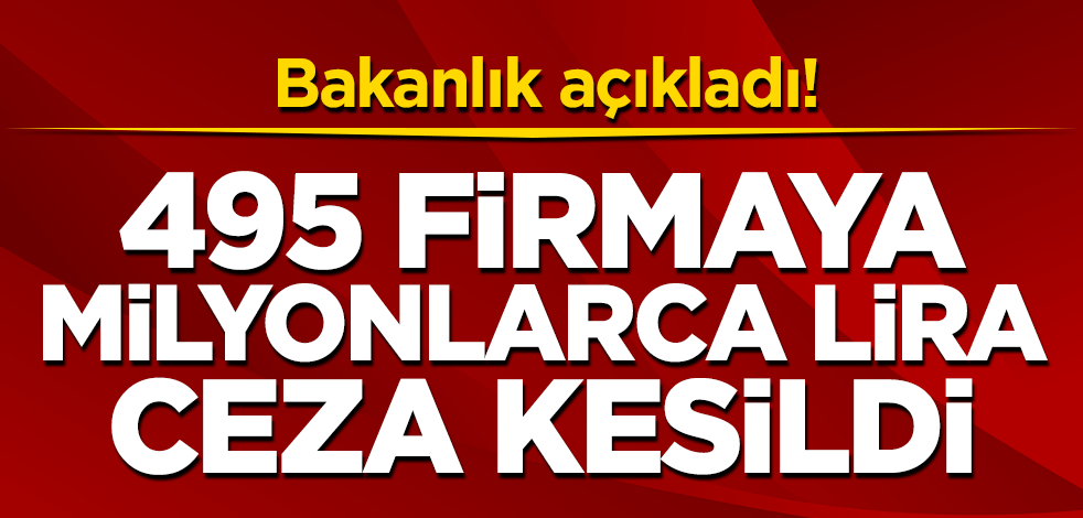 Bakanlık açıkladı! 495 firmaya milyonlarca lira ceza kesildi