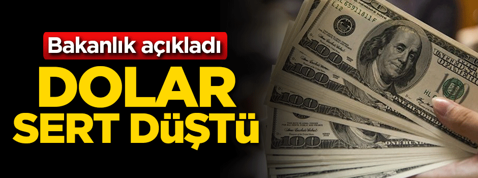 Bakanlık açıkladı! Dolar sert düştü