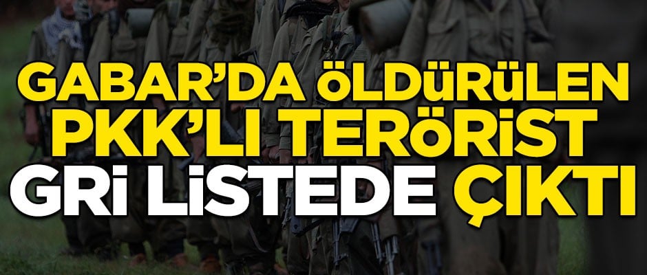 Bakanlık açıkladı! Öldürülen teröristin kimliği belli oldu