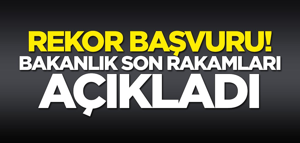 Bakanlık açıkladı: Seyahat izni verilenlerin sayısı 416 bin 598 oldu