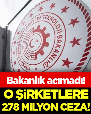 Bakanlık acımadı: O şirketlere 278 milyon lira ceza!