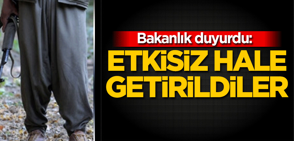 Bakanlık duyurdu: Etkisiz hale getirildiler