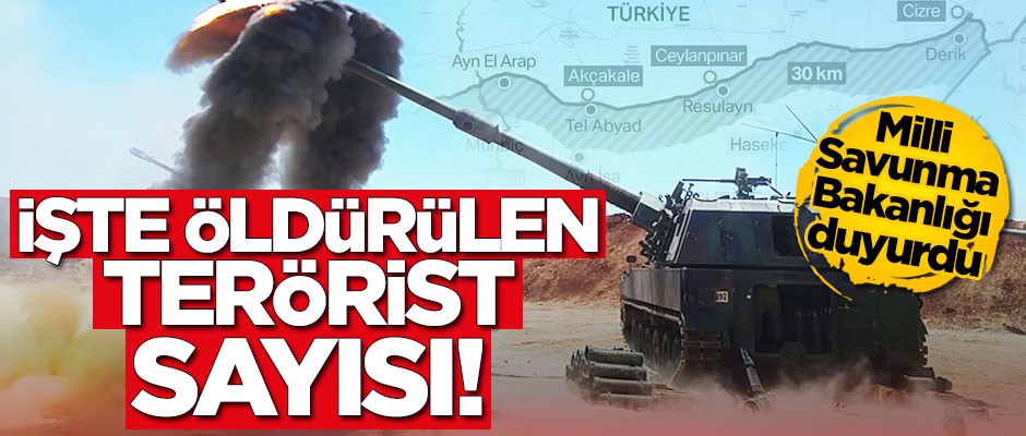 Bakanlık duyurdu! İşte öldürülen terörist sayısı