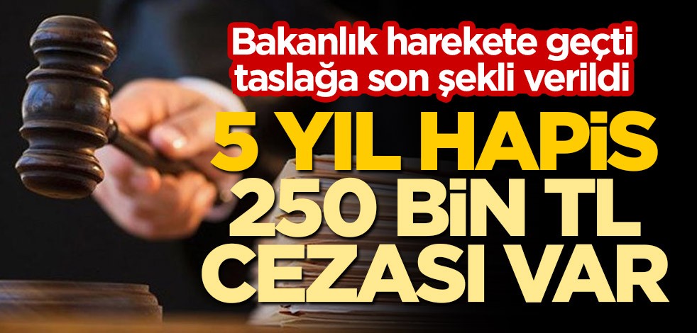 Bakanlık harekete geçti, taslağa son şekli verildi! 5 yıl hapis, 250 bin TL cezası var