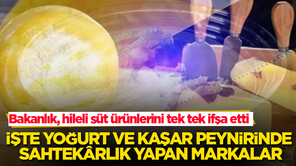 Bakanlık, hileli süt ürünlerini tek tek ifşa etti! İşte yoğurt ve kaşar peynirinde sahtekârlık yapan markalar